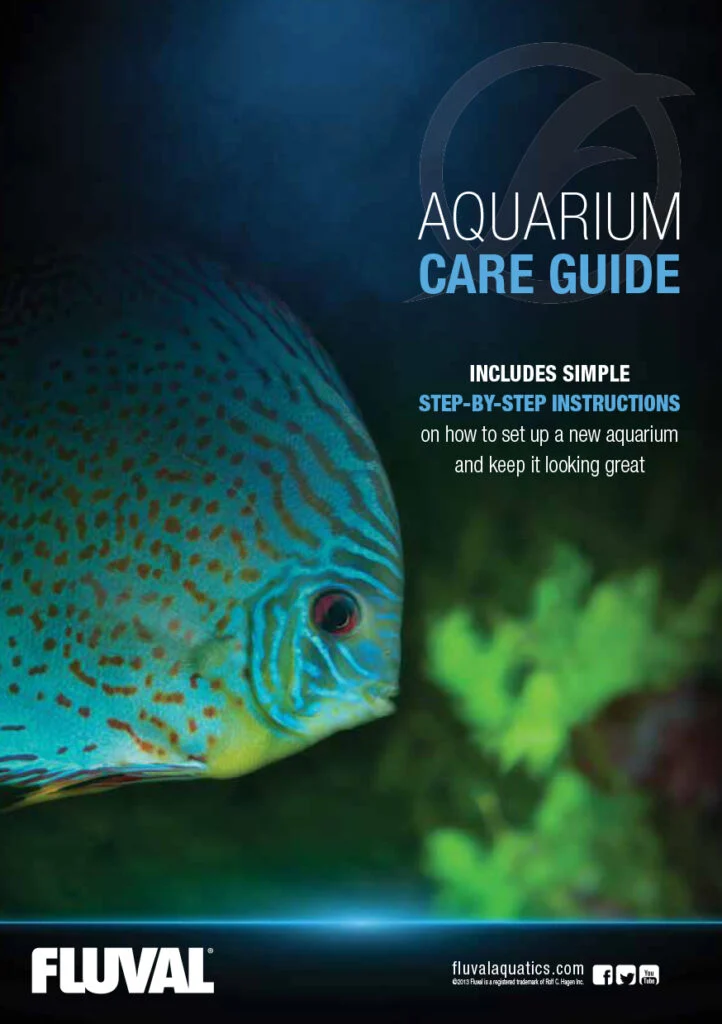 Freshwater Aquarium Care Guide